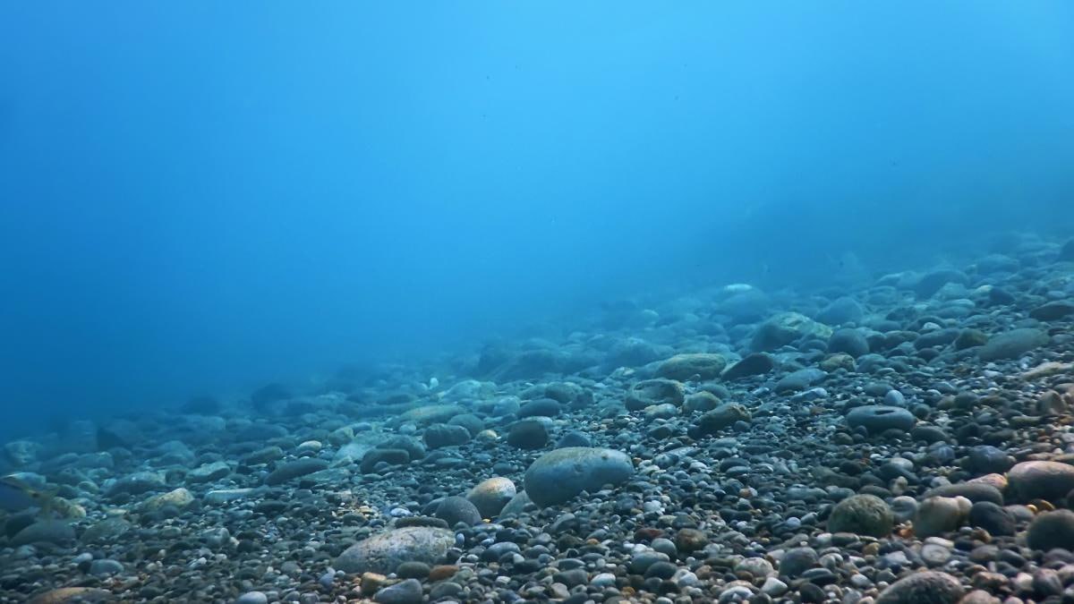 cover-photo