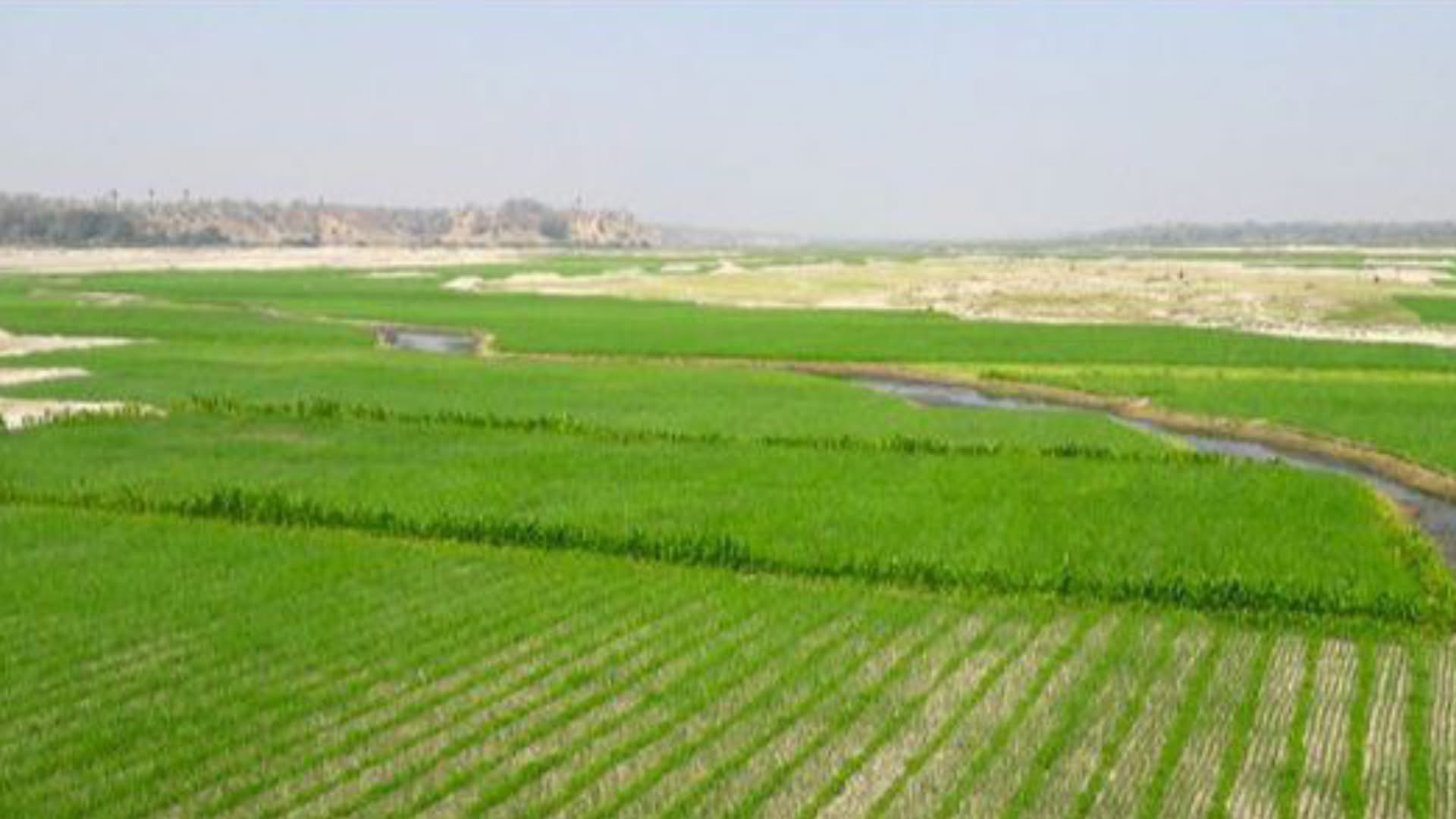 cover-photo