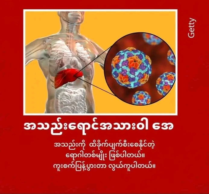 cover-photo
