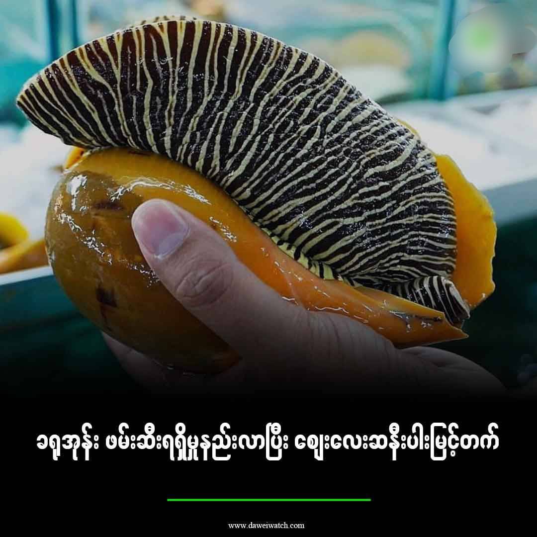cover-photo