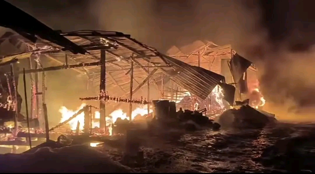 cover-photo