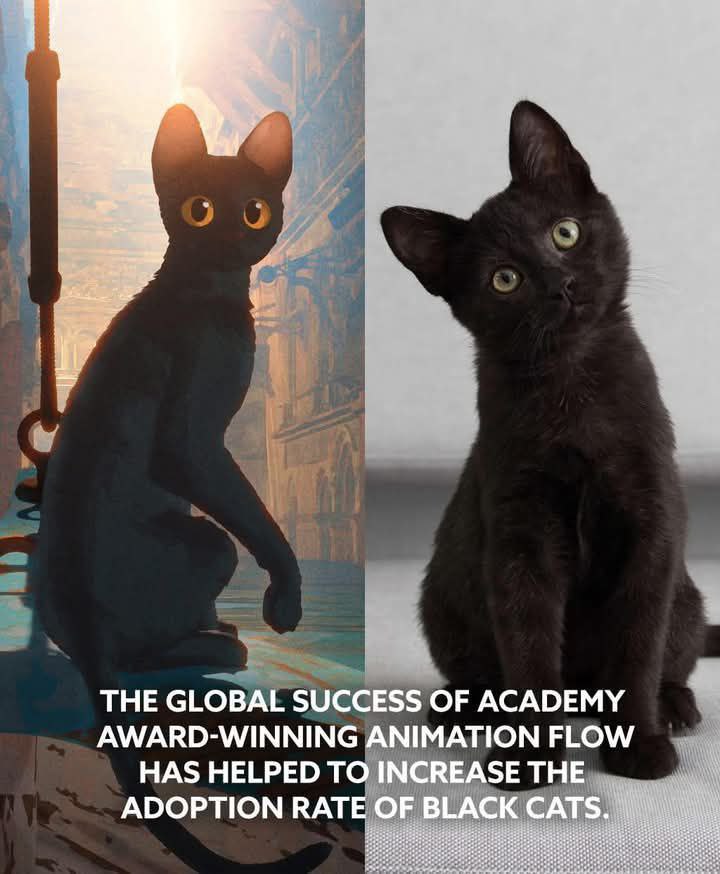 cover-photo