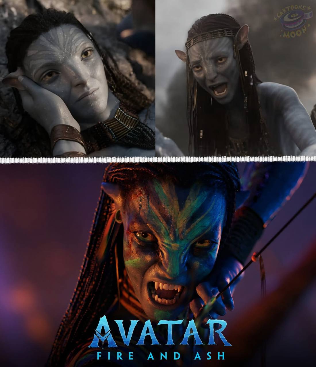 cover-photo
