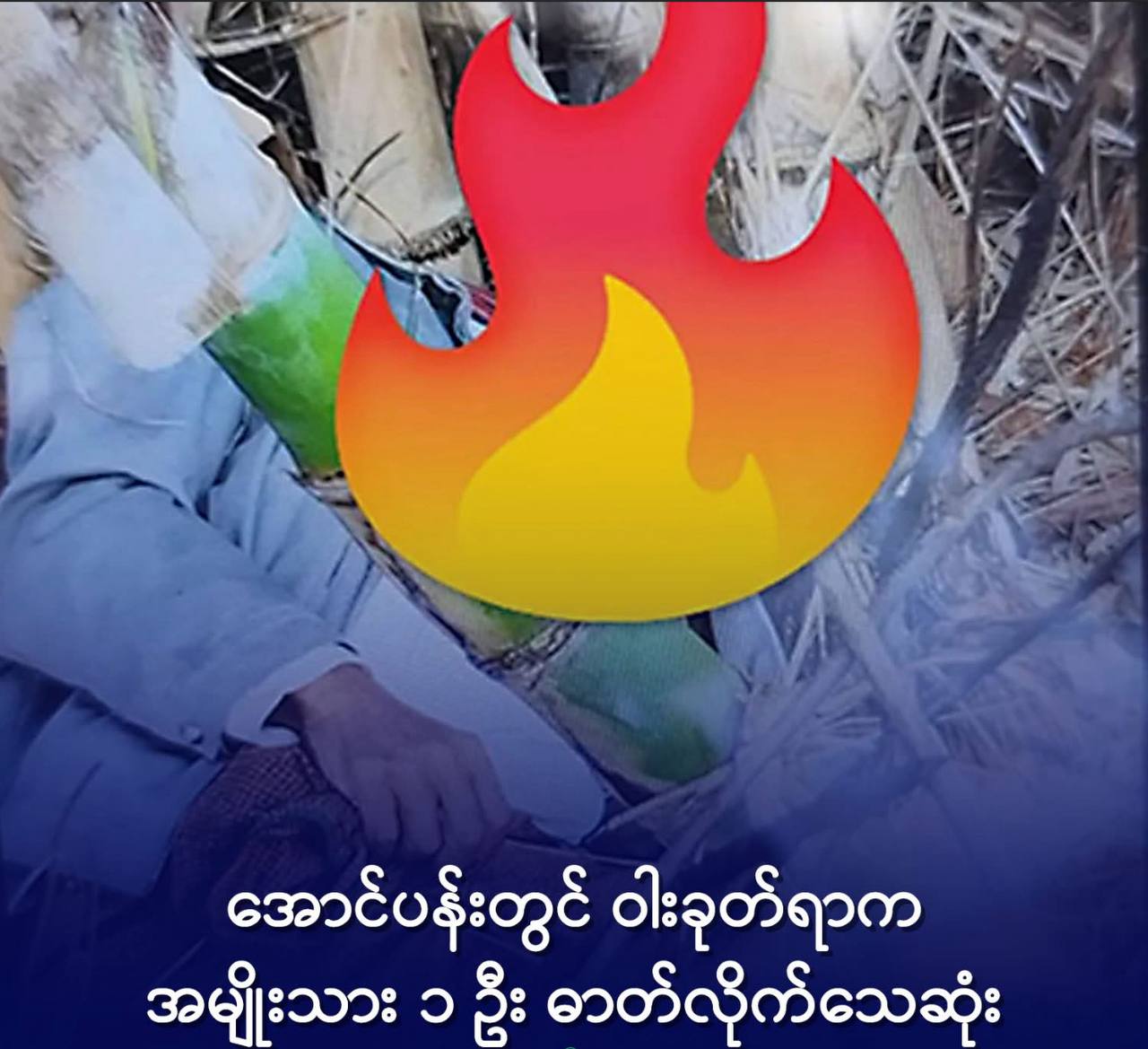 cover-photo