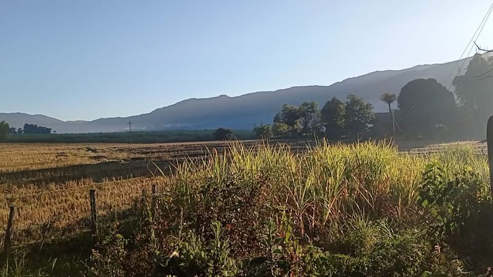 cover-photo
