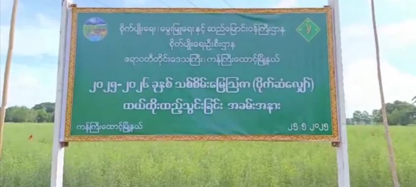 cover-photo