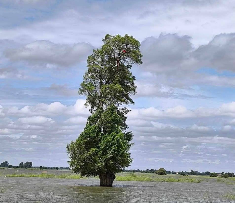 cover-photo