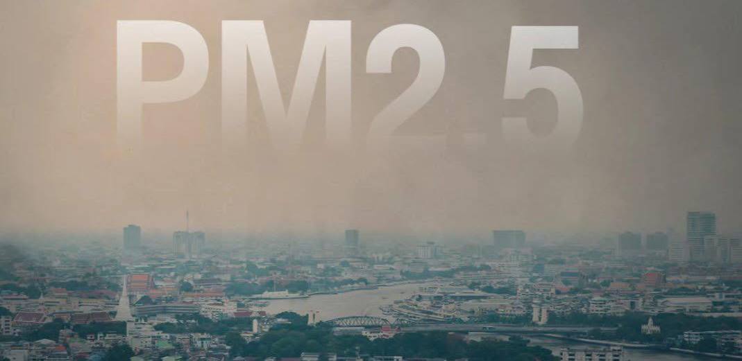cover-photo