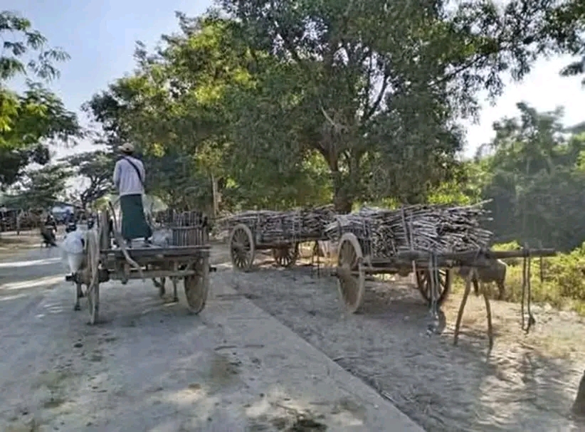 cover-photo