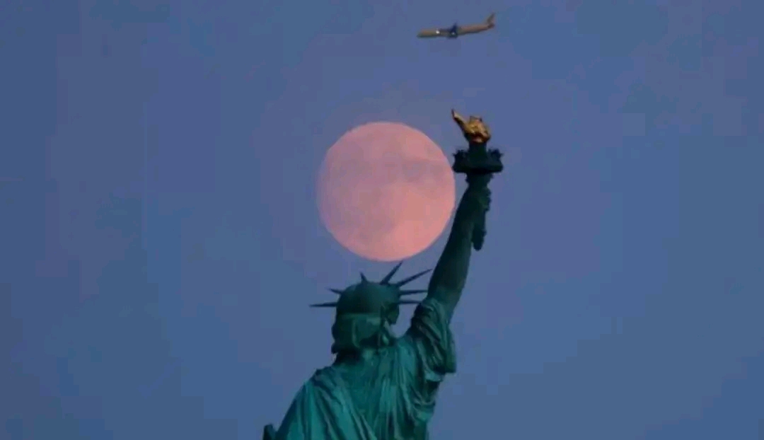 cover-photo