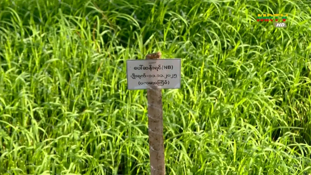 cover-photo