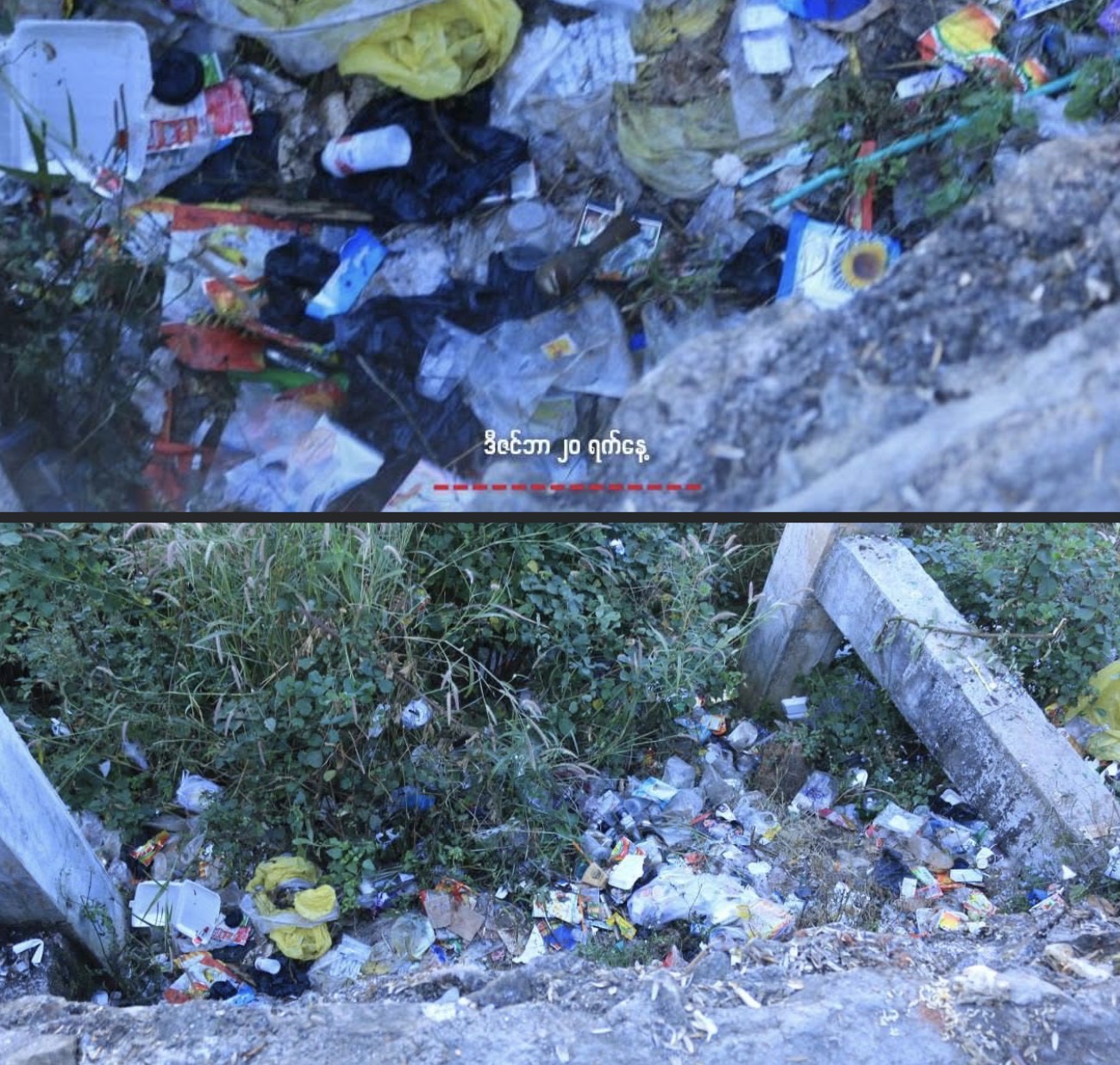 cover-photo
