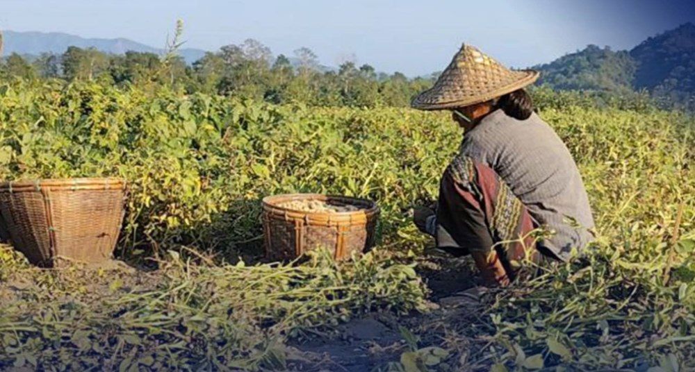 cover-photo