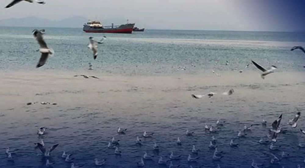 cover-photo