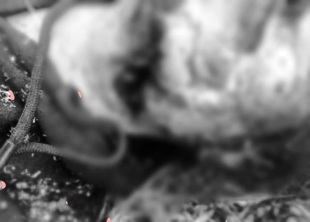 cover-photo