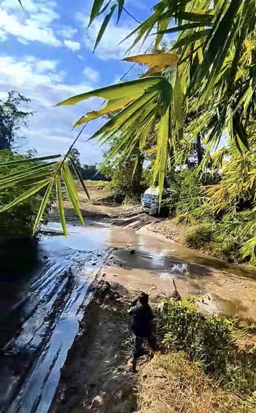 cover-photo