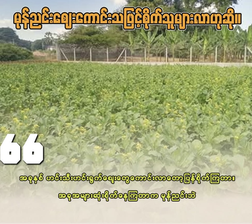 cover-photo