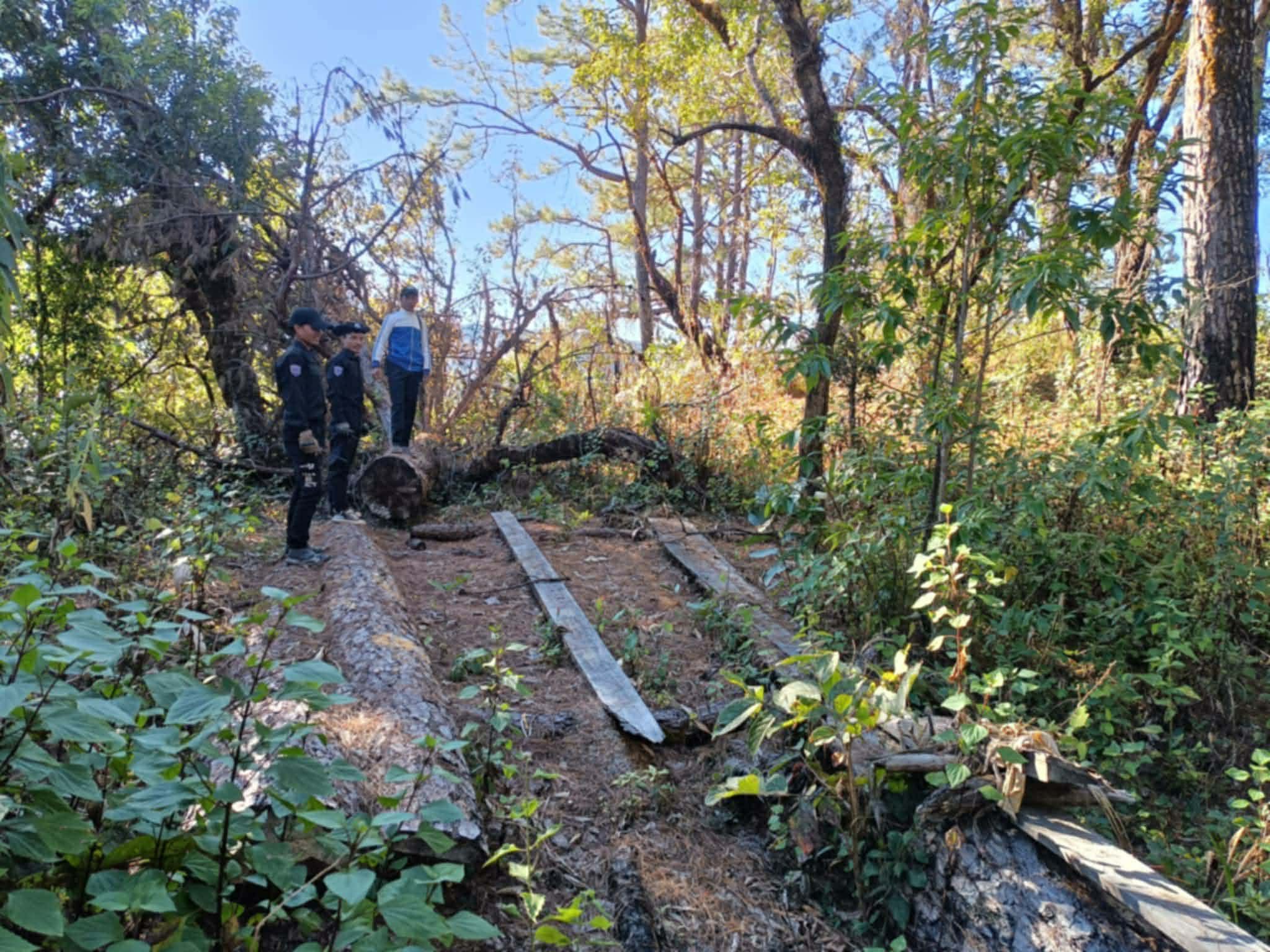 cover-photo