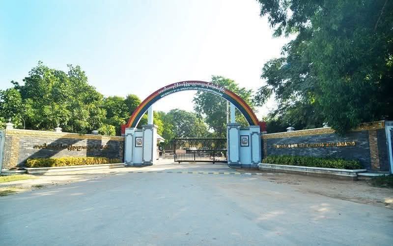 cover-photo