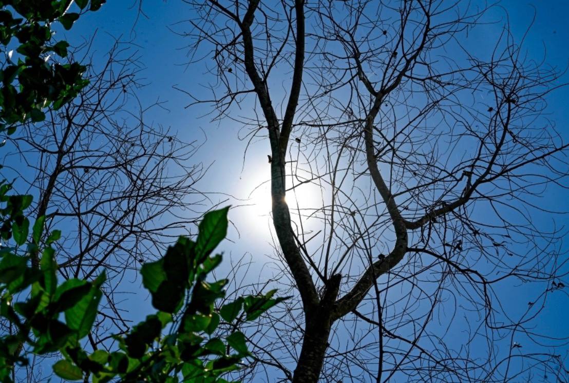 cover-photo