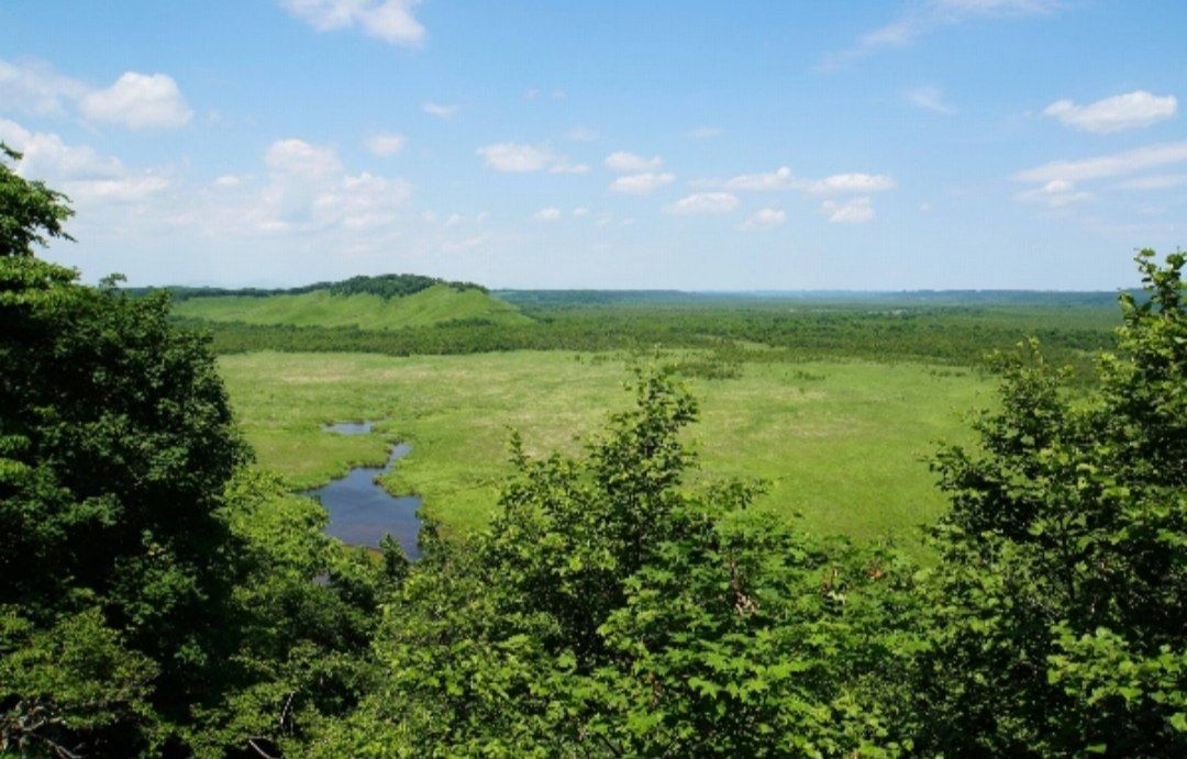 cover-photo