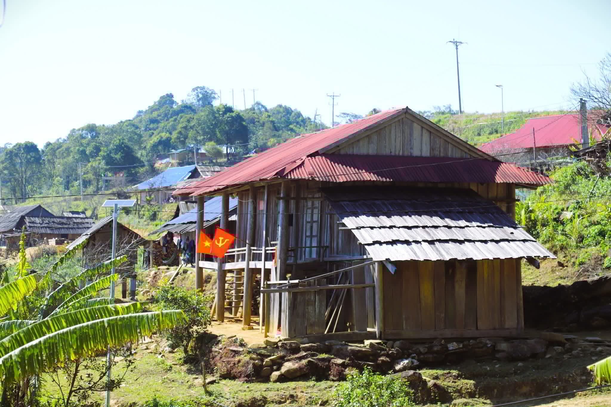 cover-photo