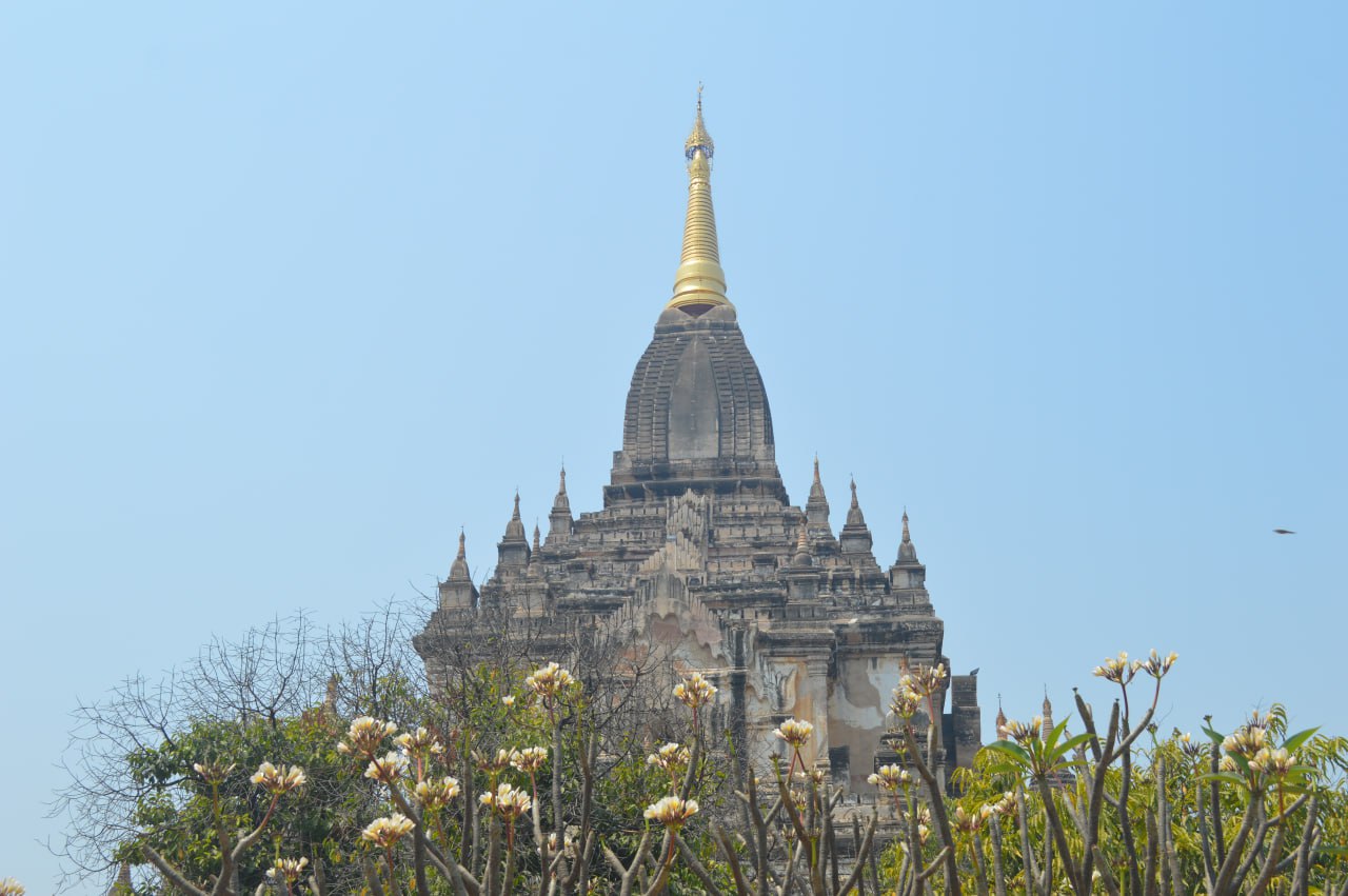 cover-photo