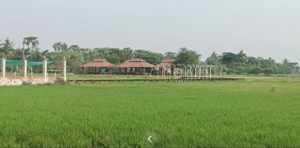 cover-photo