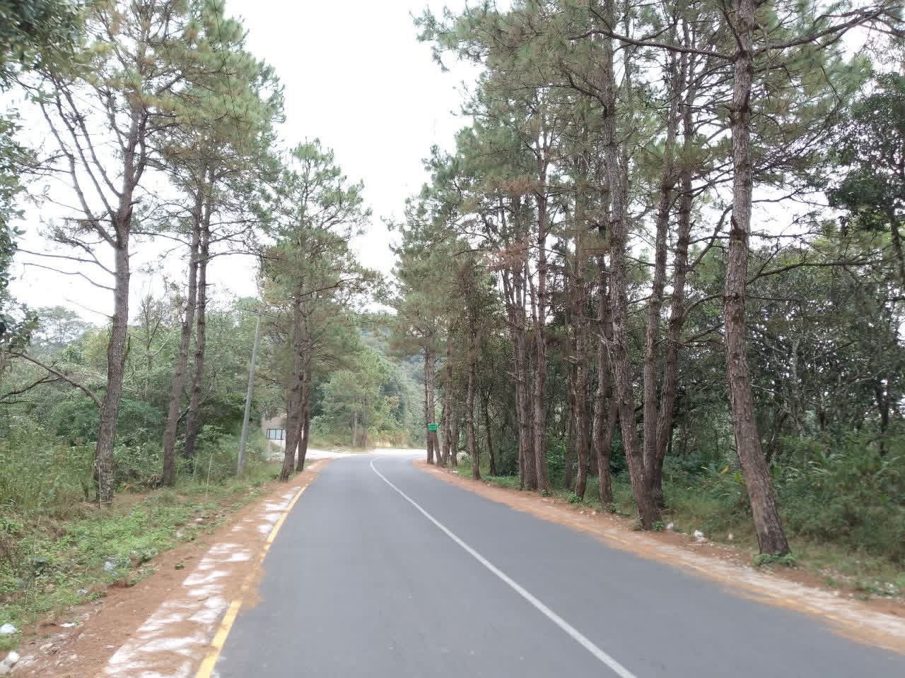 cover-photo