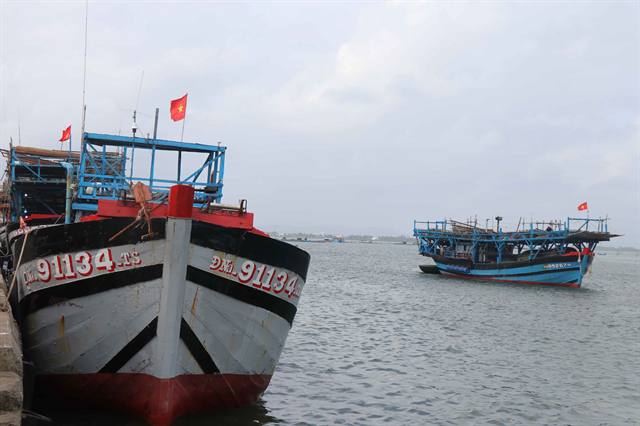 cover-photo