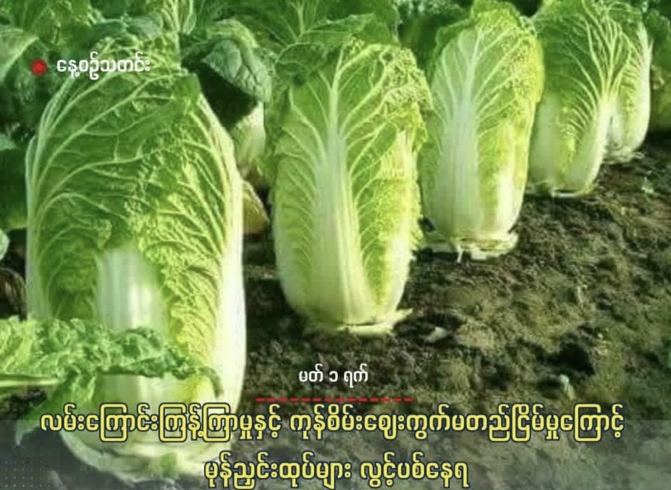 cover-photo