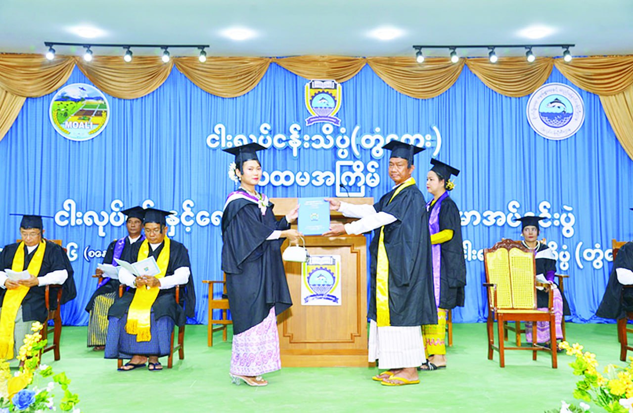 cover-photo