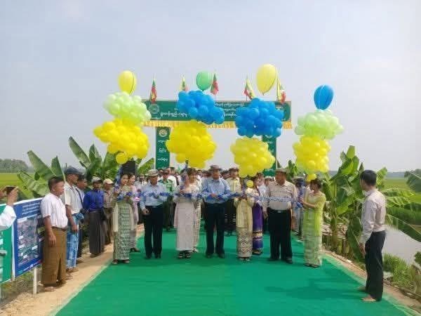 cover-photo