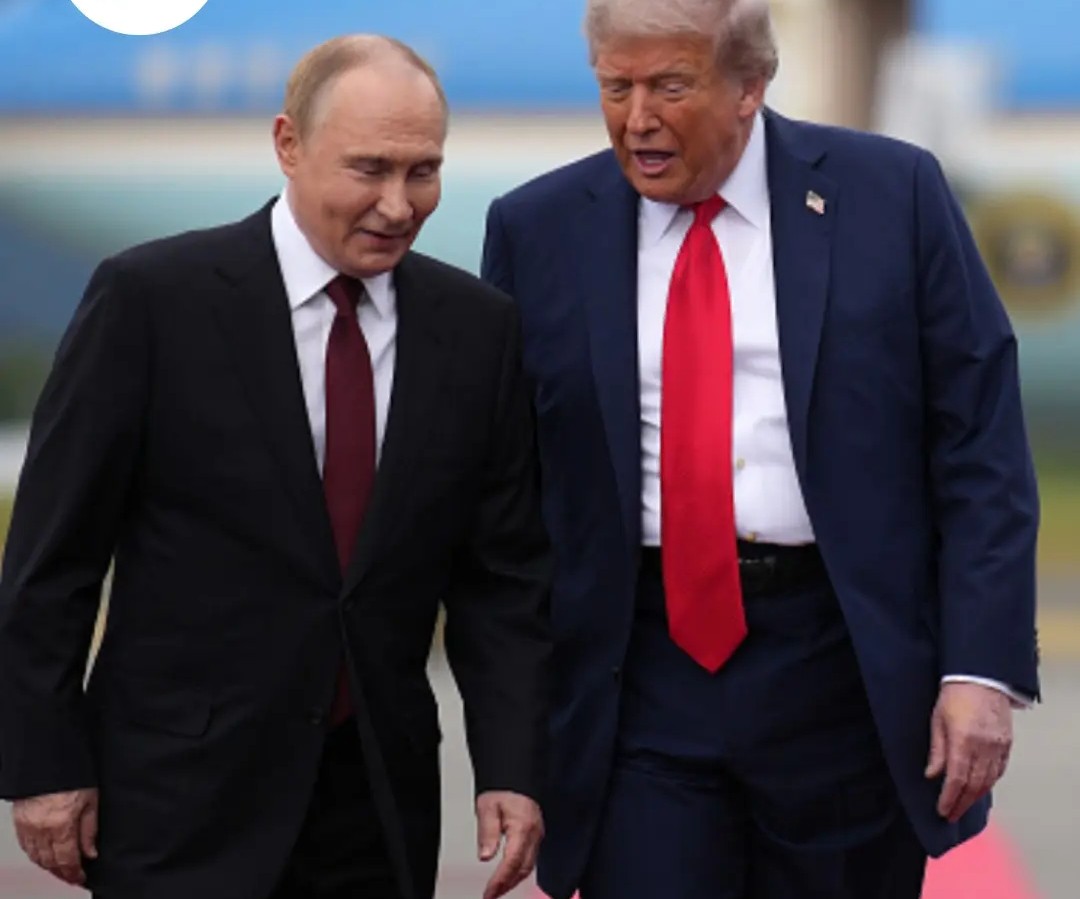 cover-photo