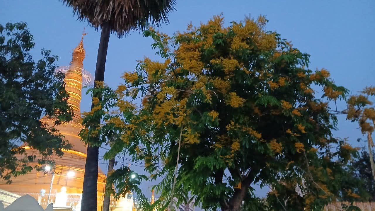 cover-photo