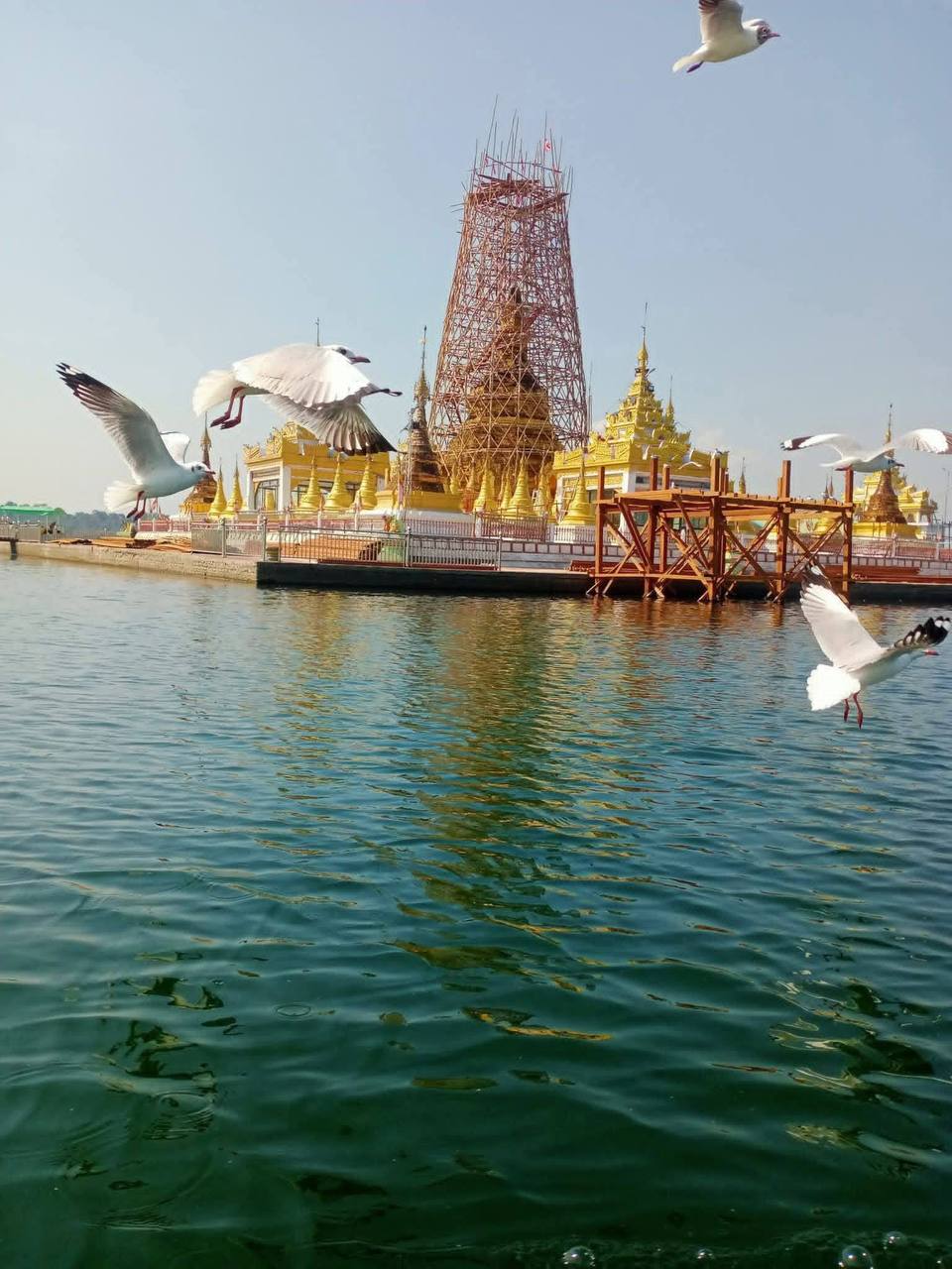 cover-photo