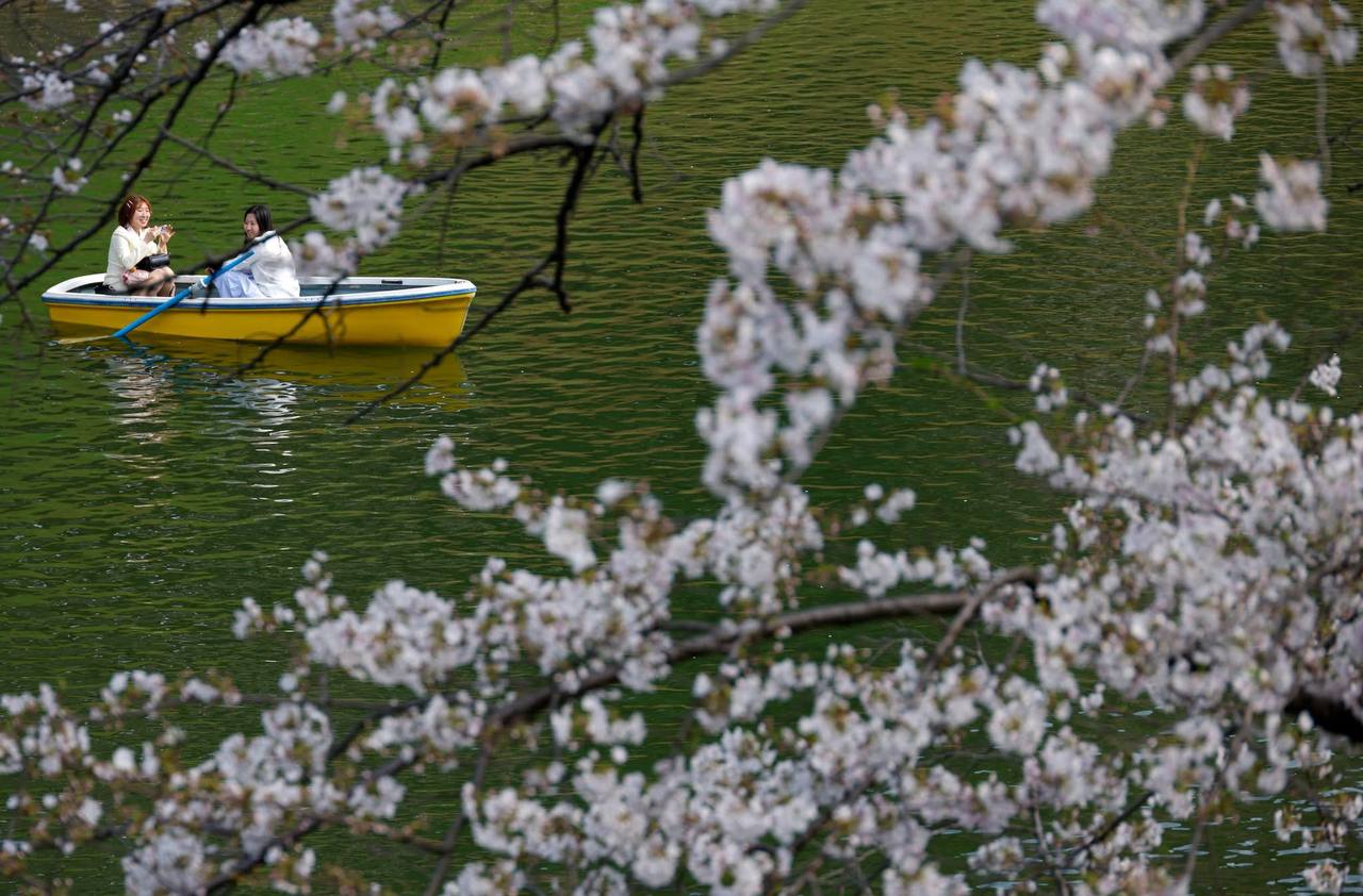 cover-photo