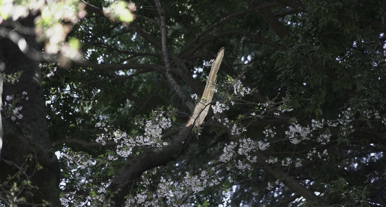 cover-photo