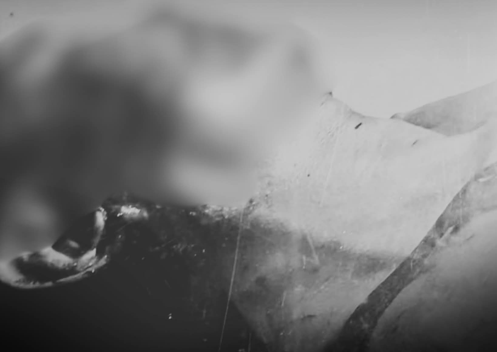 cover-photo