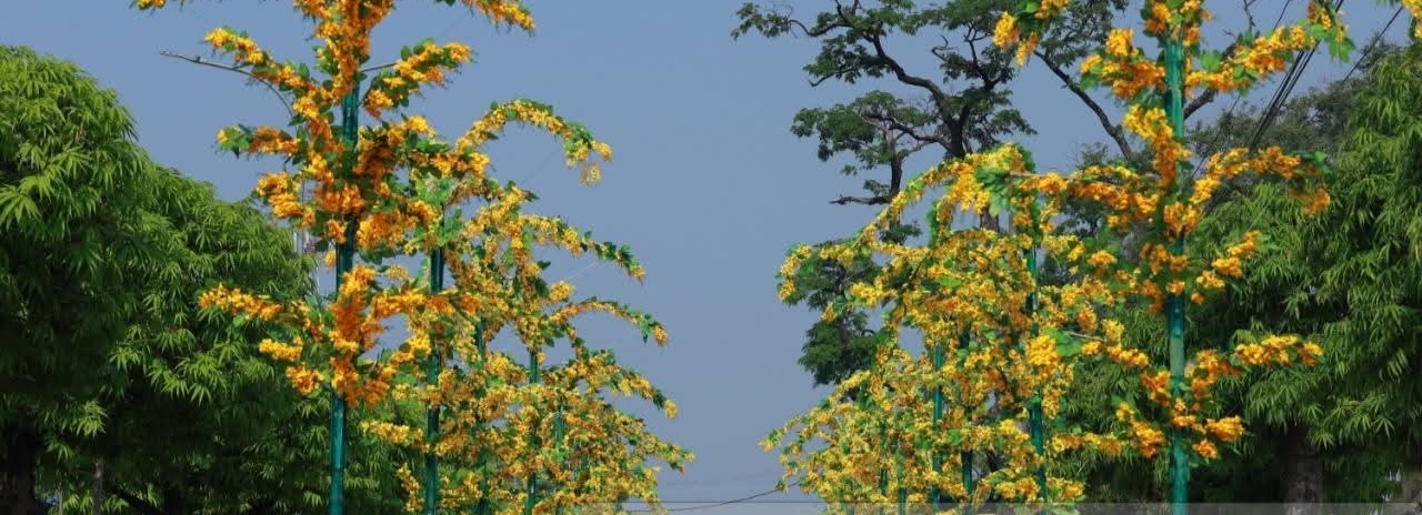 cover-photo