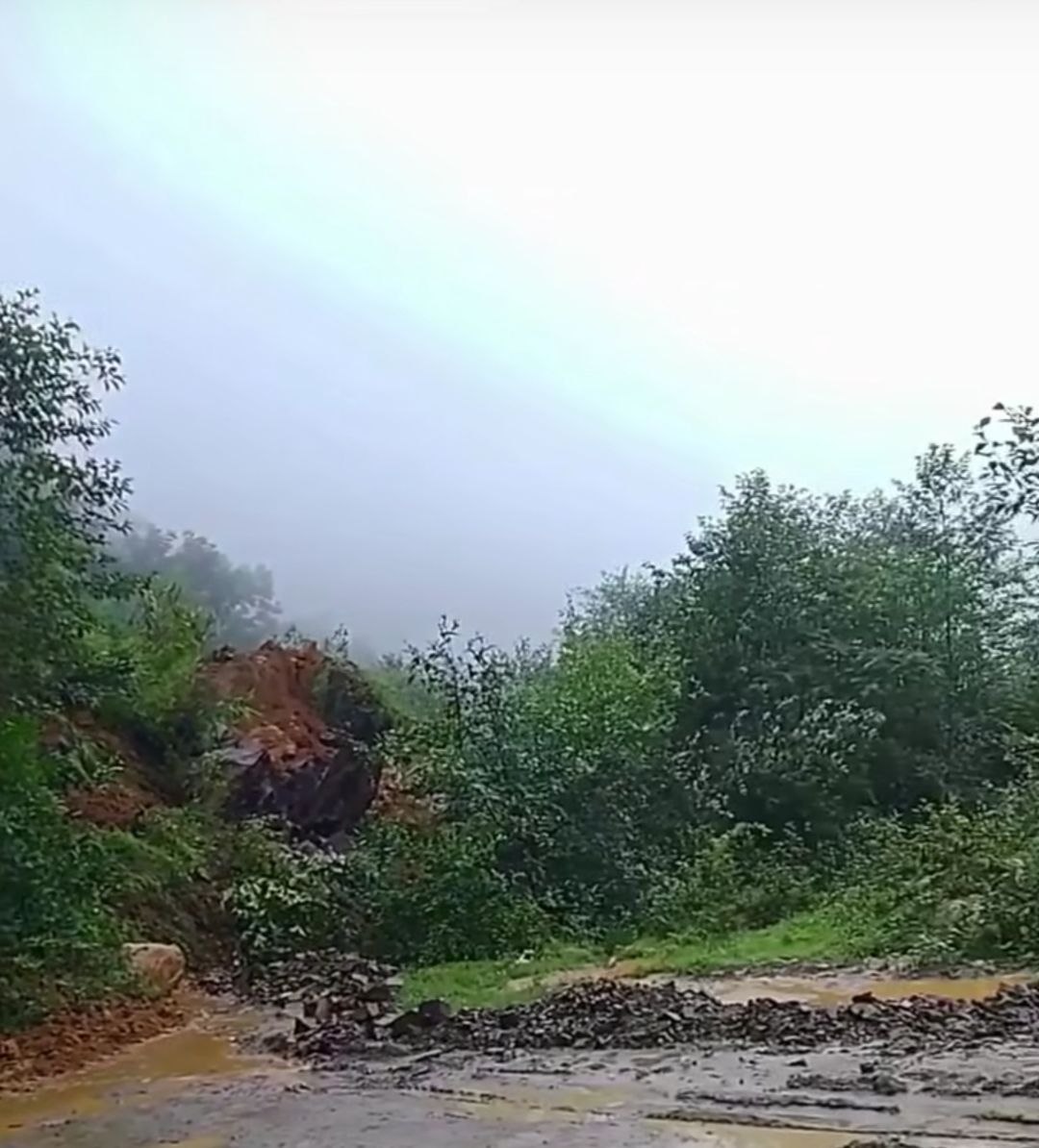 cover-photo