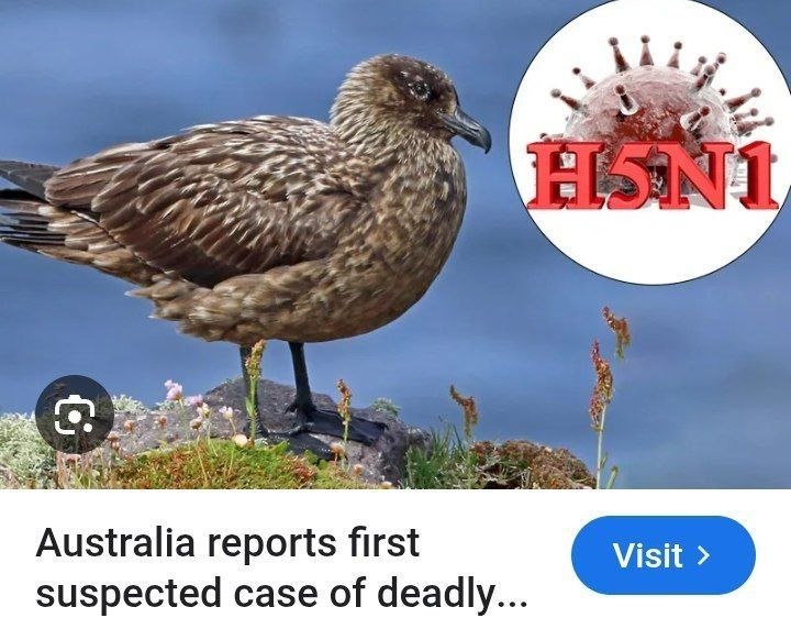 cover-photo
