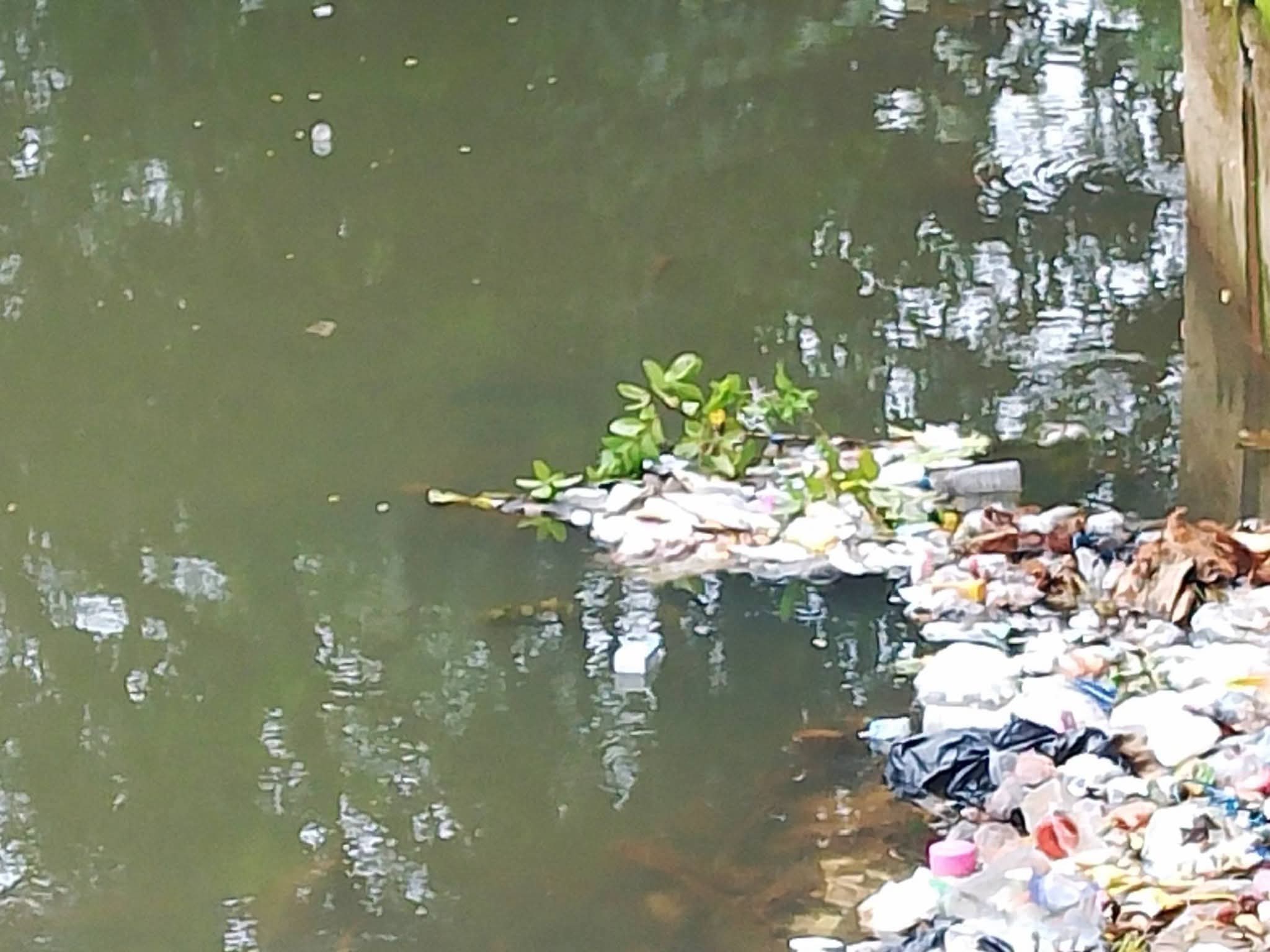 cover-photo