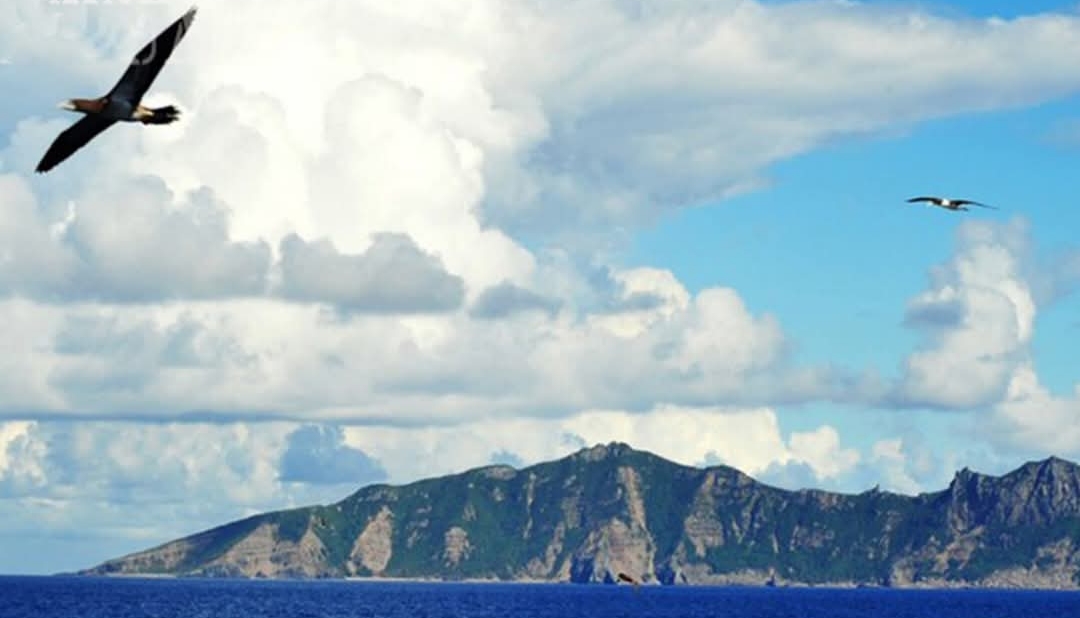 cover-photo