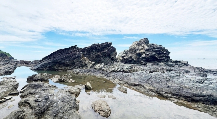 cover-photo