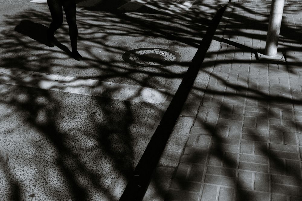cover-photo