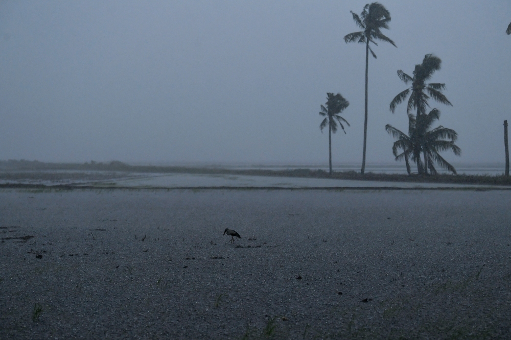 cover-photo